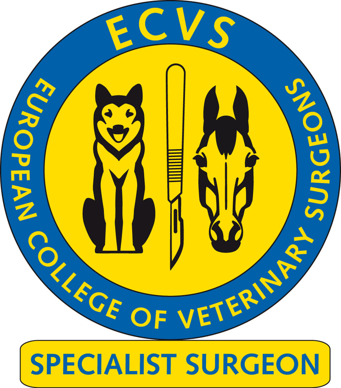 European College of Veterinary Surgeons