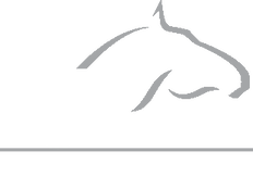 Abbey Equine